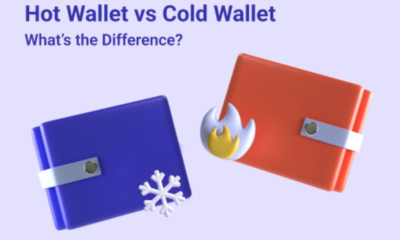 Hot wallets vs cold wallets