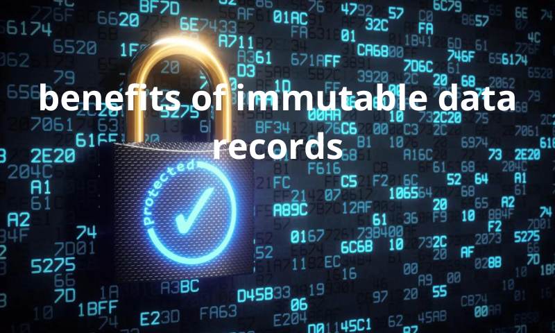 Immutable Data Records: 5 Surprising Advantages You Can’t Ignore