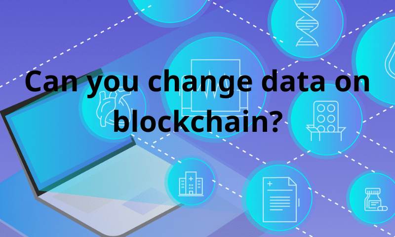 Blockchain Transparency: Can You Really Alter the Data?