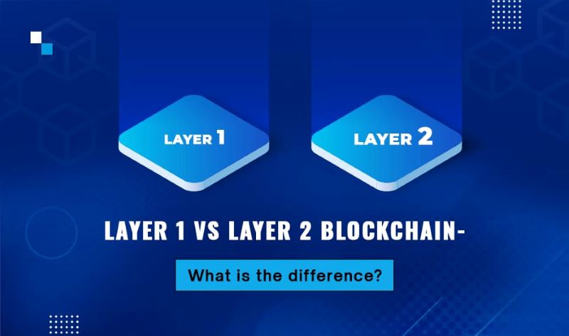 Layer 1 vs. Layer 2