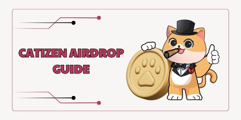 Catizen airdrpp guide