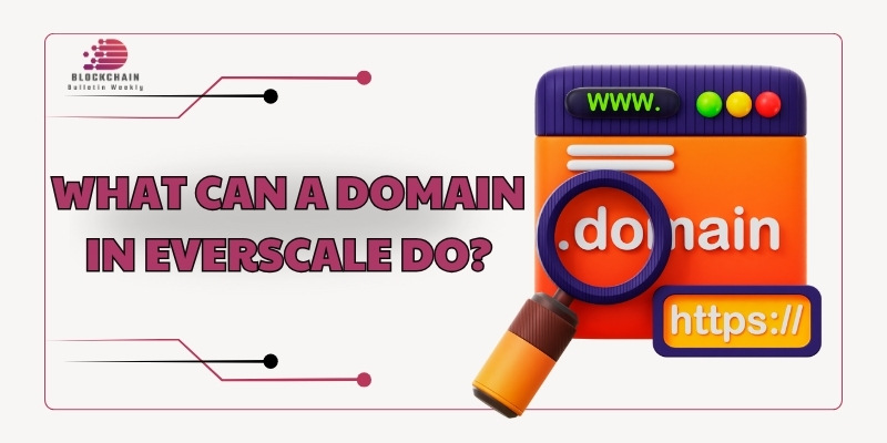 What can a Domain in Everscale do?