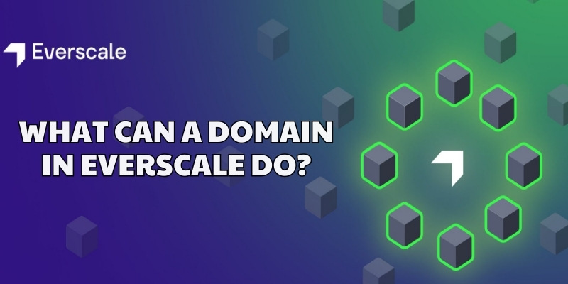 What is a Domain in Everscale?